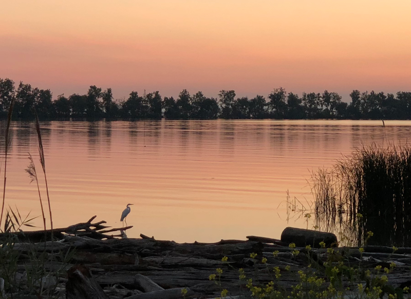 Lake Erie, the morning of the 2018 Toledo Jeep Festival